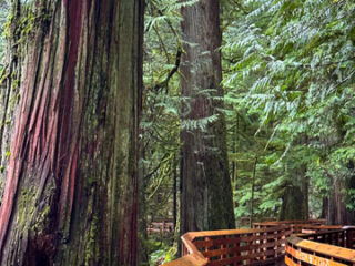Adventuramag-Nature_0855