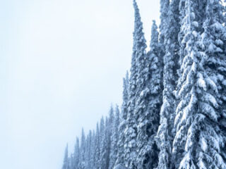 Adventuramag-Nature_4394